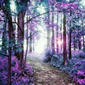 Meet your Posher, Debra